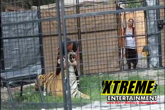 silver strike bowling arcade | Party Rentals Of Ft Lauderdale