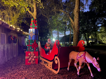 "Complete decor package for corporate events with table centerpieces and banners"