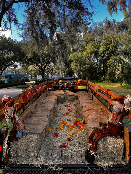 zooplayland | Party Rentals Of Ft Lauderdale