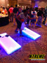 alligator show | Party Rentals Of Ft Lauderdale