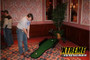 skee ball mini | Party Rentals Of Ft Lauderdale