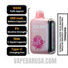 Juicy Peach Ice Geek Bar Pulse Disposable Vape Specification