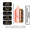 Juicy Peach Ice Geek Bar Pulse 2 Disposable Vape Specifications