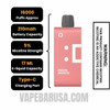 Dragon Melon Ice Off Stamp SW16000 Disposable Pod Specifications