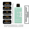 Winter Mint Off Stamp SW16000 Disposable Pod Specifications