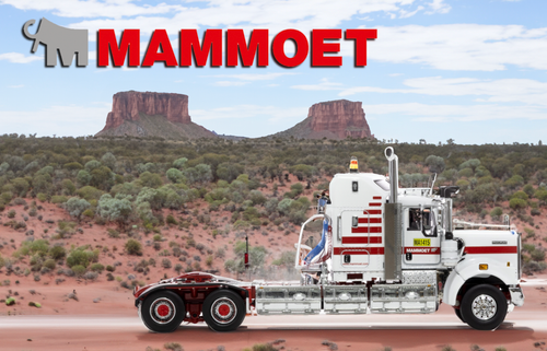 Modèle Réduit Générateur Mammoet 1/50 – WEISS BROTHERS WBR410216, Métal & Plastique