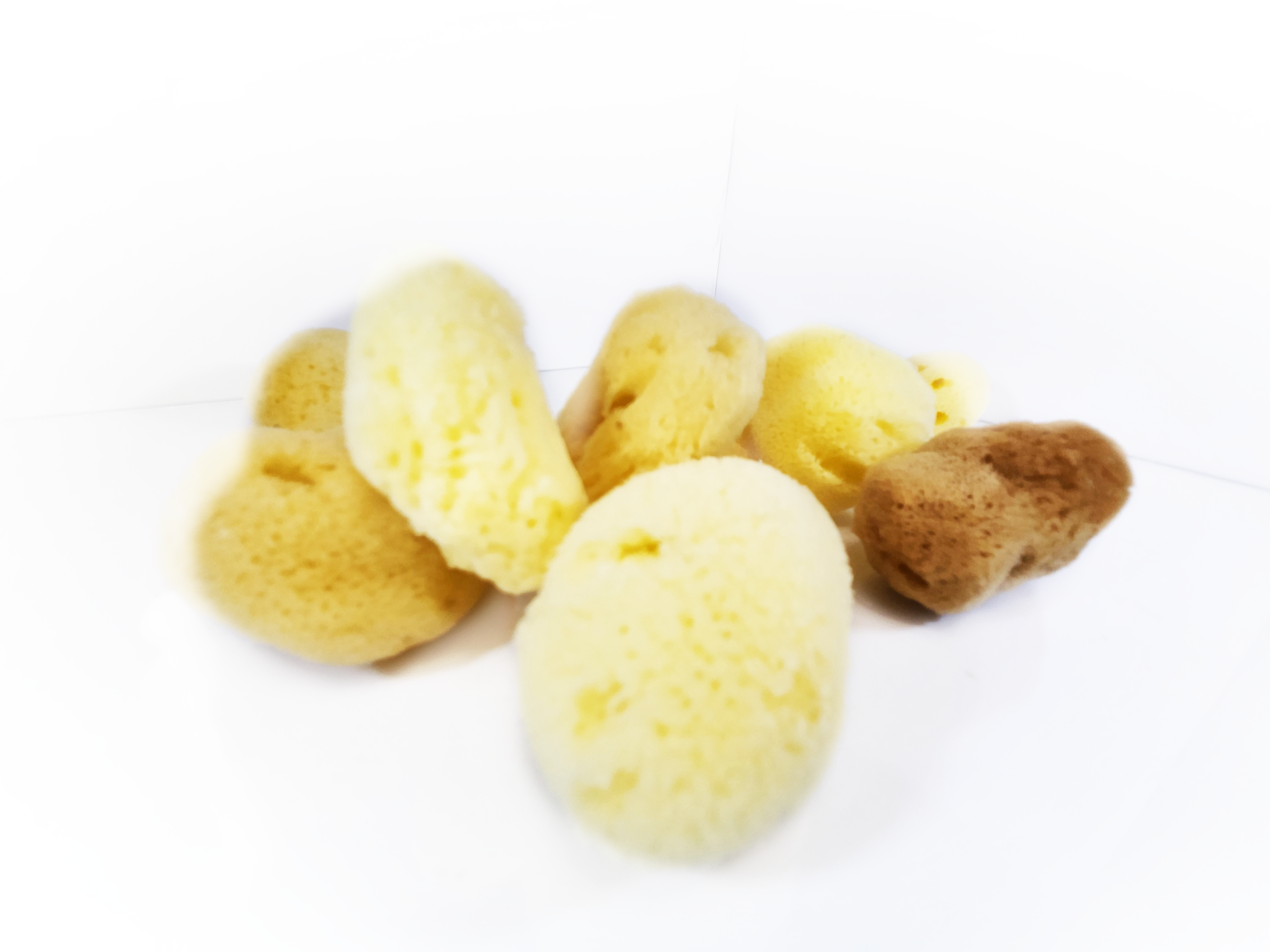 Silk Sponges
