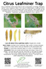 VivaTrap! VT-102 Citrus Leafminer Trap & Pheromone Lure 2 Pack 195893116560