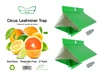 VivaTrap! VT-102 Citrus Leafminer Trap & Pheromone Lure 2 Pack 195893116560