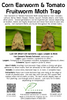 VivaTrap VT-101 Corn Earworm and Tomato Fruitworm trap by VivaGrow.  Also attracts Corn Borers, Loopers, and Lygus.  2 Pack, non-toxic, pesticide free.  195893968961