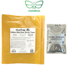 VivaTrap VTC-103-10 Commercial Extra Large Cucumber Beetle Trap 10 pack