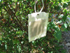 VivaTrap! PredaLure Ladybug & Lacewing Attractant