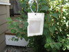 VivaTrap! PredaLure Ladybug & Lacewing Attractant