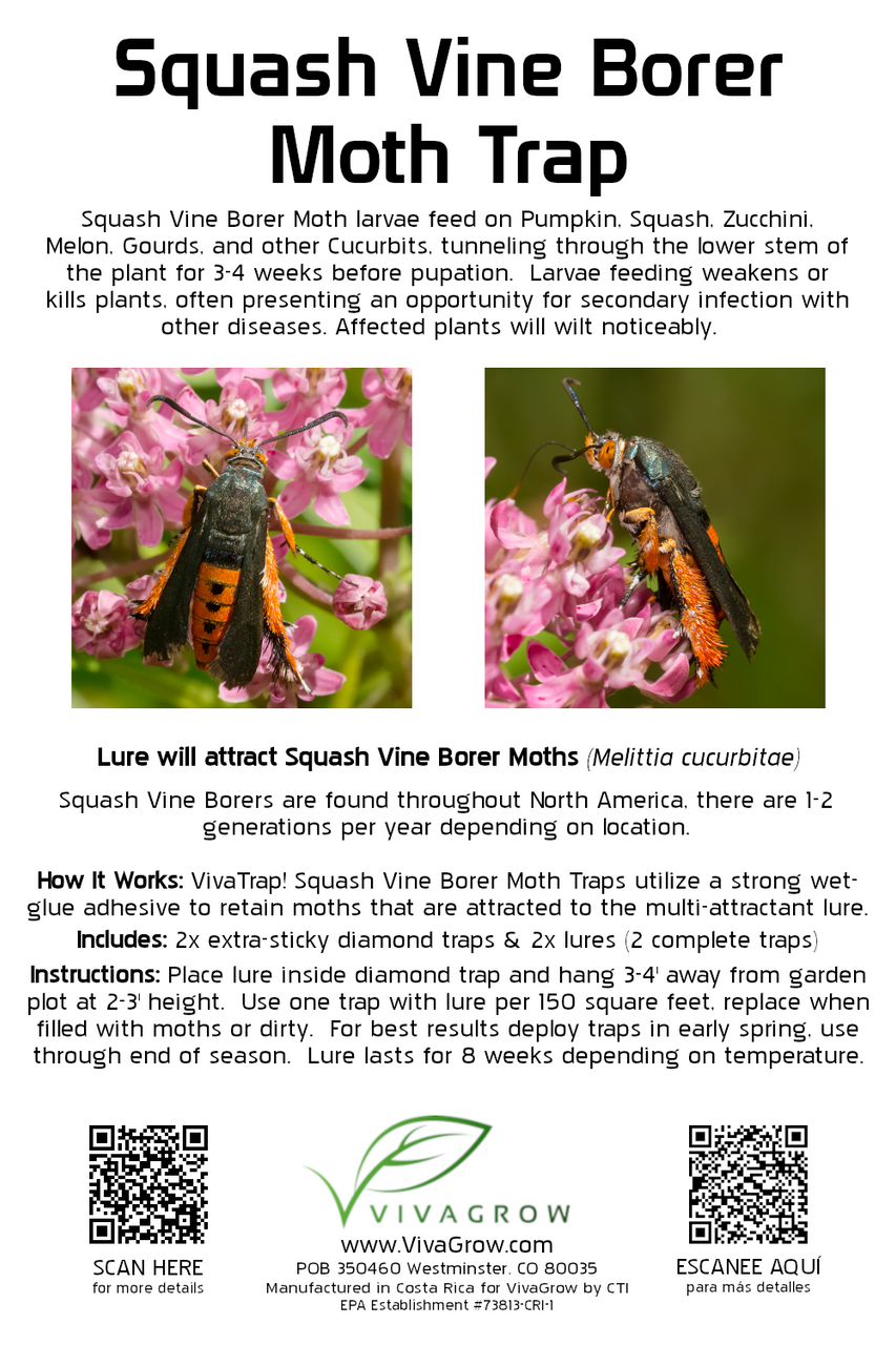 VivaTrap! VT-100 Squash Vine Borer Trap & Pheromone Lure 2 Pack 195893547418
