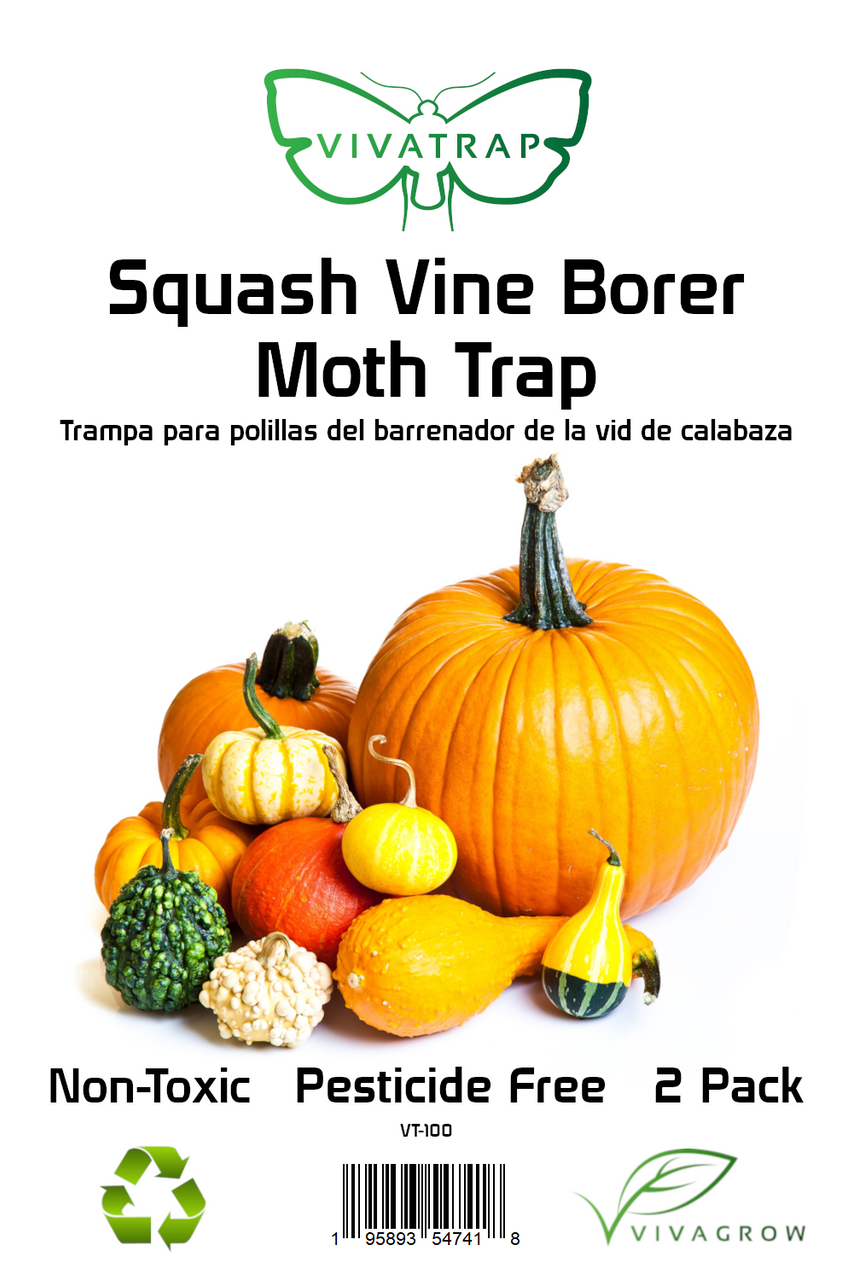 VivaTrap! VT-100 Squash Vine Borer Trap & Pheromone Lure 2 Pack 195893547418