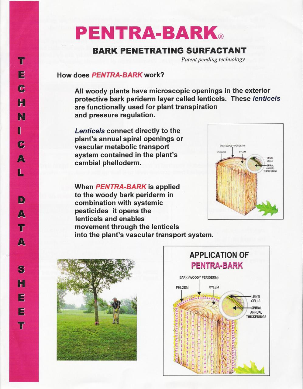 Pentra Bark Penetrating Surfactant - Pint (16oz)