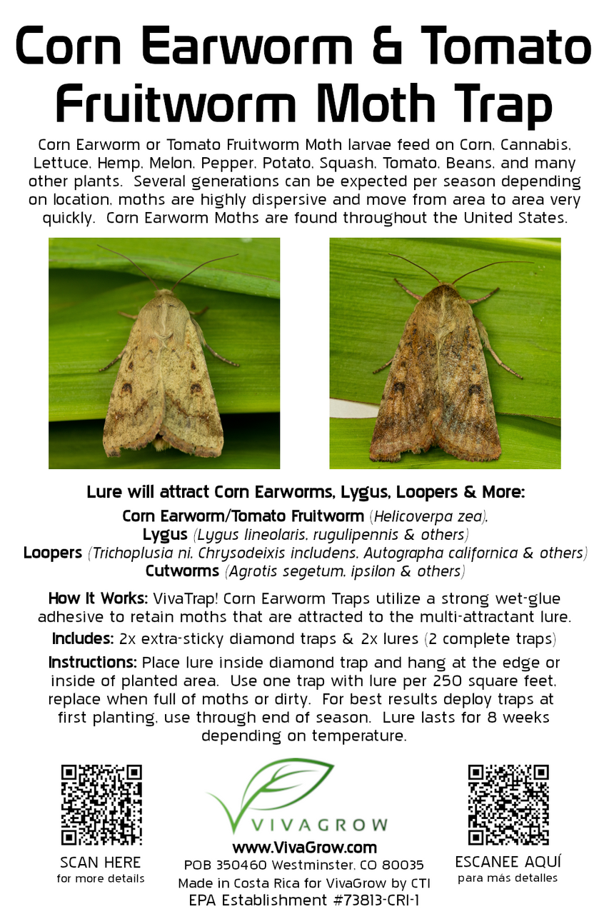 VivaTrap VT-101 Corn Earworm and Tomato Fruitworm trap by VivaGrow.  Also attracts Corn Borers, Loopers, and Lygus.  2 Pack, non-toxic, pesticide free.  195893968961