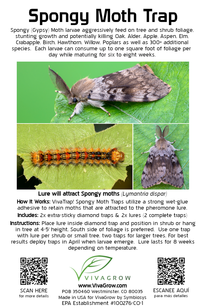 VivaTrap VT-108 Spongy Moth Trap & Lure 199284656093