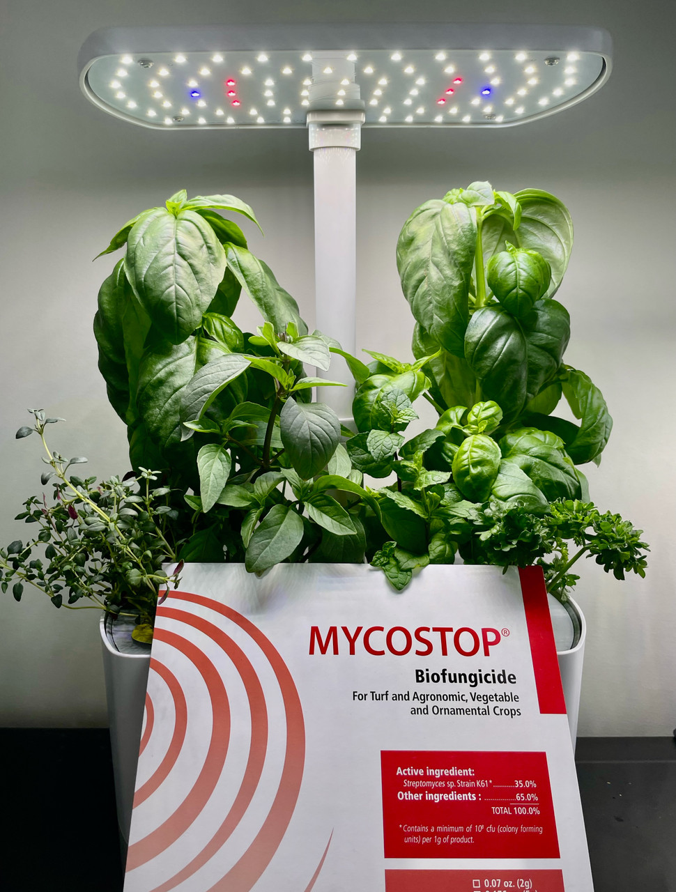 Mycostop WP for Hydroponics