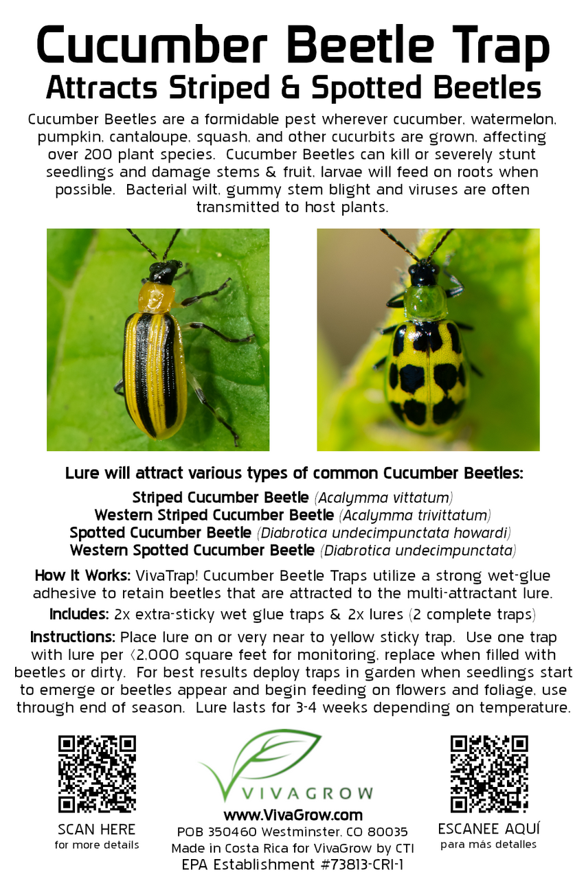 VivaTrap! Cucumber Beetle Trap & Lure 2 pack VT-103 195893327850