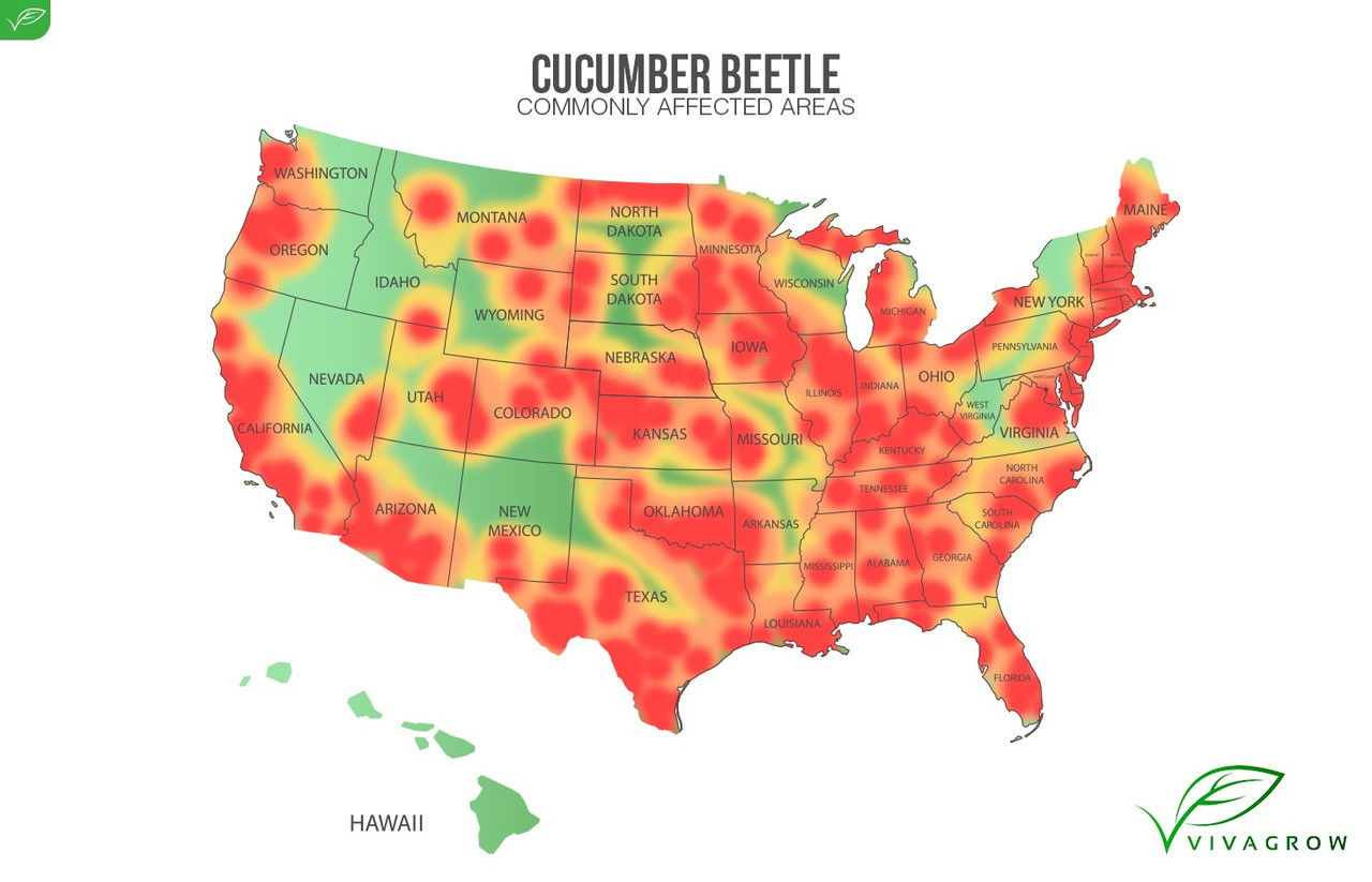 Area map of Cucumber Beetle exposure regions by VivaGrow