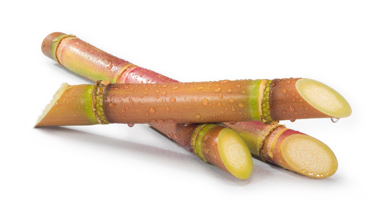 Sugar Rush: Why Molasses Is A Must In Hydroponic Growing