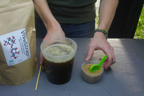 VivaStrap Powdered Blackstrap Molasses powder by VivaGrow