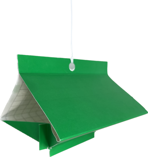 VivaTrap VT-402 Diamond Glue Trap