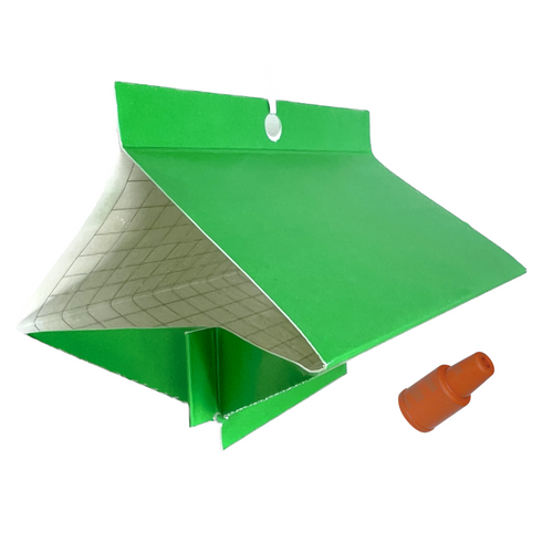 VivaTrap VT-108 Spongy Moth Trap & Lure 199284656093 VivaTrap VT-108 Spongy Moth Trap & Lure 199284656093