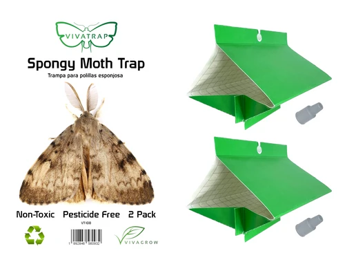 VivaTrap VT-108 Spongy Moth Trap & Lure 199284656093