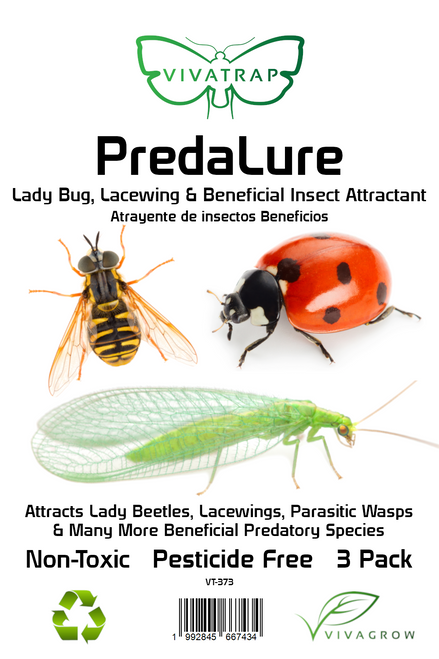 VivaTrap! PredaLure Ladybug & Lacewing Attractant 3 Pack VT-373 199284566743