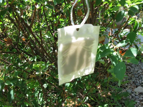 VivaTrap! PredaLure Ladybug & Lacewing Attractant
