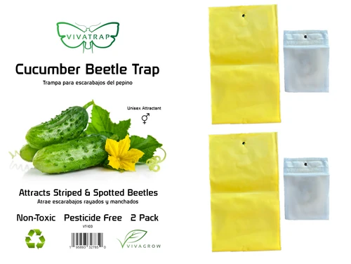VivaTrap! Cucumber Beetle Trap & Lure 2 pack VT-103 195893327850