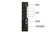 DELL 9020 MICRO (103906) Intel Core i3-4130 4GB 320GB HDD Win 10 Pro