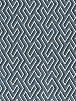 Pacifica Maze Velvet by the yard