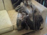 Faux Crystal Fox Throw, Whisky/Grey 60" x 80"