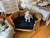 Provence Pet Bed