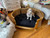 Provence Pet Bed