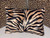 Luxury Zebra print lumbar pillow