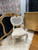 Marie Antoinette Rattan Heart Chair, White and Gold