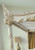 ORIENTAL CANOPY BED DISTRESSED WHITE