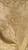 Versailles Neoclassical Floral Urn & Swag Brocade Satin fabric Gold