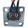 6.0kW Incoloy Straight Off Set Hot Water Heating Element | PN. ELI-ST-6.0 - Face