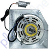 Brivis CC320i LPG V2 XA Compact Classic Gas Ducted Heater Blower Fan Motor Plate & Capacitor 315 Watt PN. 80008944 - Top