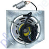 Brivis CC315i Compact Classic Gas Ducted Heater Blower Fan Motor Plate & Capacitor 250 Watt PN. 80008945 - Top