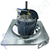 Brivis Buffalo BX326 NG Gas Ducted Heater Blower Fan Motor Plate & Capacitor 600 Watt PN. 80080061 - Side