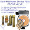 Solar Hot Water Frost Zone Service Pack Grundfos Pump and Frost Valve Kit - Parts