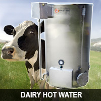 dairy