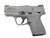 Smith & Wesson Shield 9mm, F/O, Grey, CA-Compliant