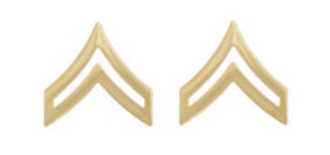 Army Chevron: Sergeant First Class - gold embroidered on green  (NON-RETURNABLE/NON-REFUNDABLE) - pair